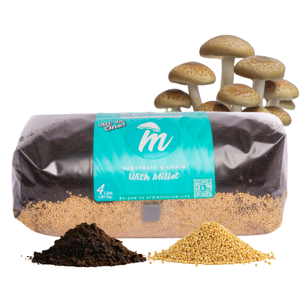 
                      
                        CVG Substrate & Millet Grain All-In-One Bag
                      
                    