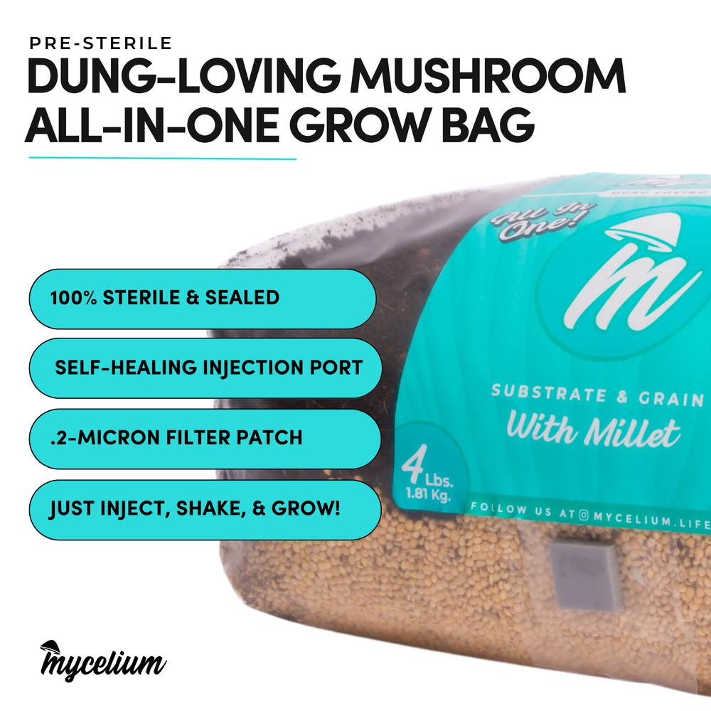
                      
                        CVG Substrate & Millet Grain All-In-One Bag
                      
                    