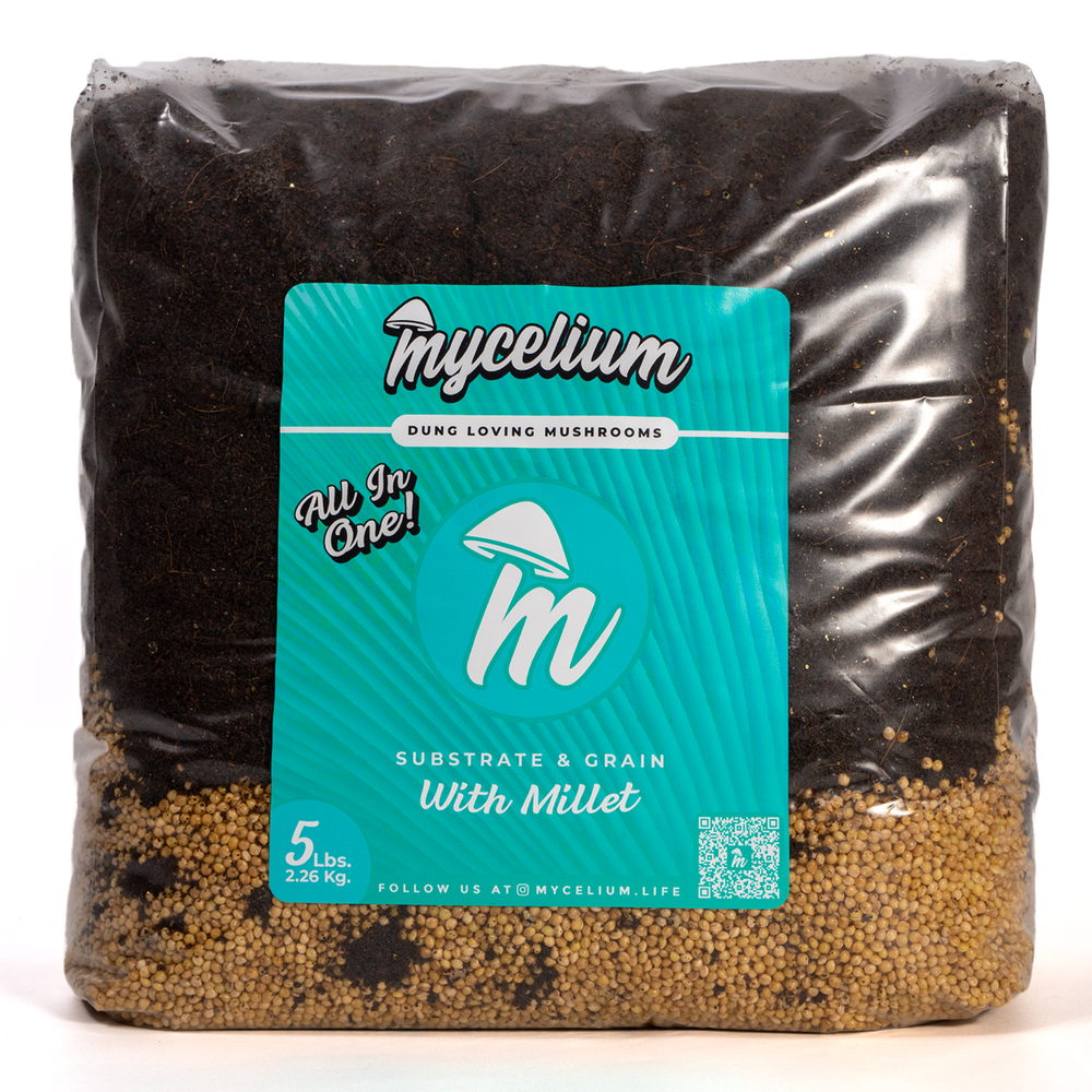 
                      
                        CVG Substrate & Millet Grain All-In-One Bag
                      
                    