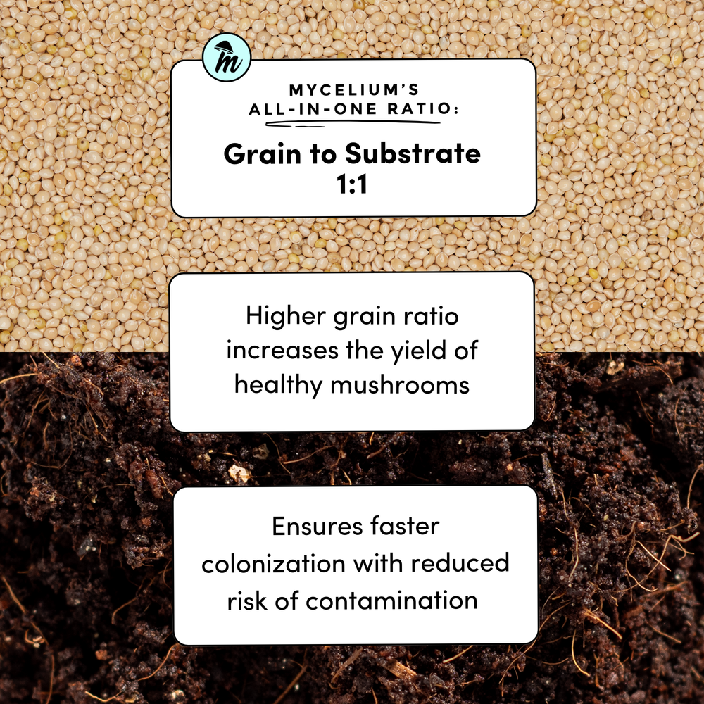 
                      
                        CVG Substrate & Millet Grain All-In-One Bag
                      
                    