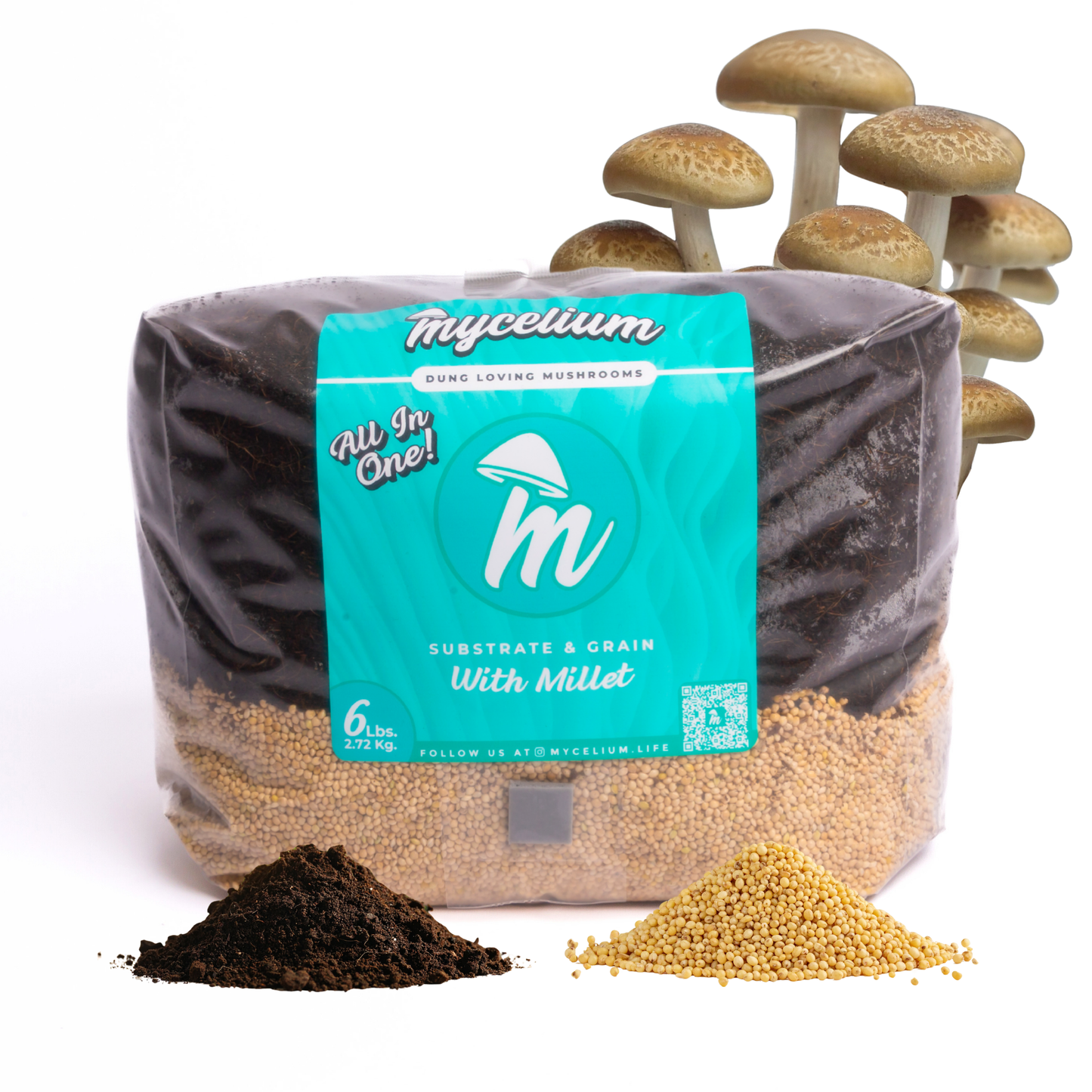 CVG Substrate & Millet Grain All-In-One Bag