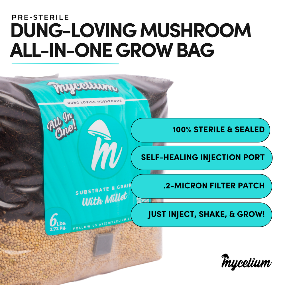 
                      
                        CVG Substrate & Millet Grain All-In-One Bag
                      
                    