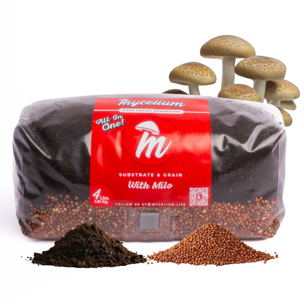 
                      
                        CVG Substrate & Milo Grain All-In-One Bag
                      
                    