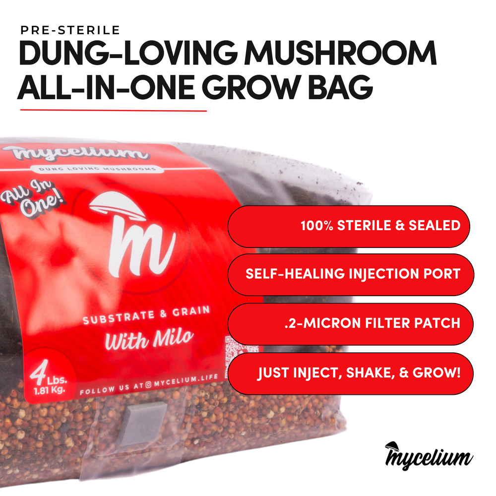 
                      
                        CVG Substrate & Milo Grain All-In-One Bag
                      
                    