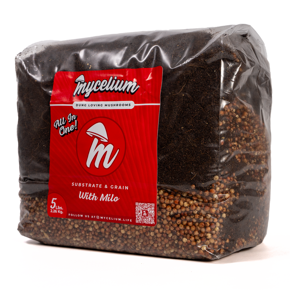 
                      
                        CVG Substrate & Milo Grain All-In-One Bag
                      
                    