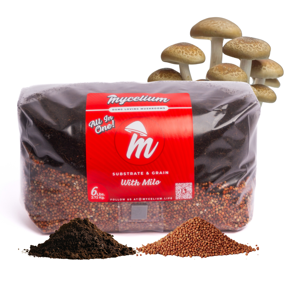 CVG Substrate & Milo Grain All-In-One Bag