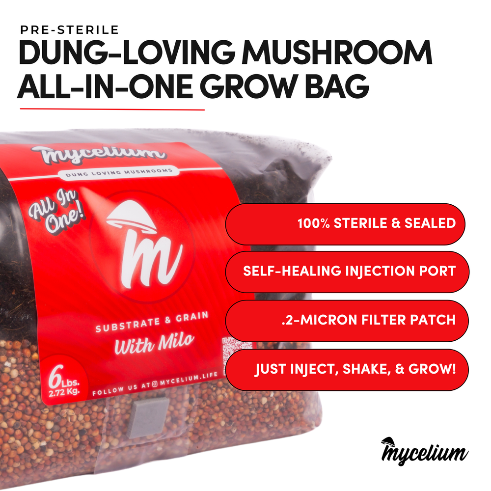 
                      
                        CVG Substrate & Milo Grain All-In-One Bag
                      
                    