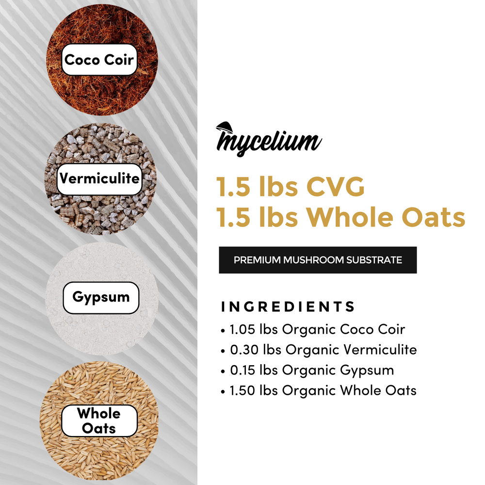 
                      
                        CVG Substrate & Whole Oats Grain All-In-One Bag
                      
                    