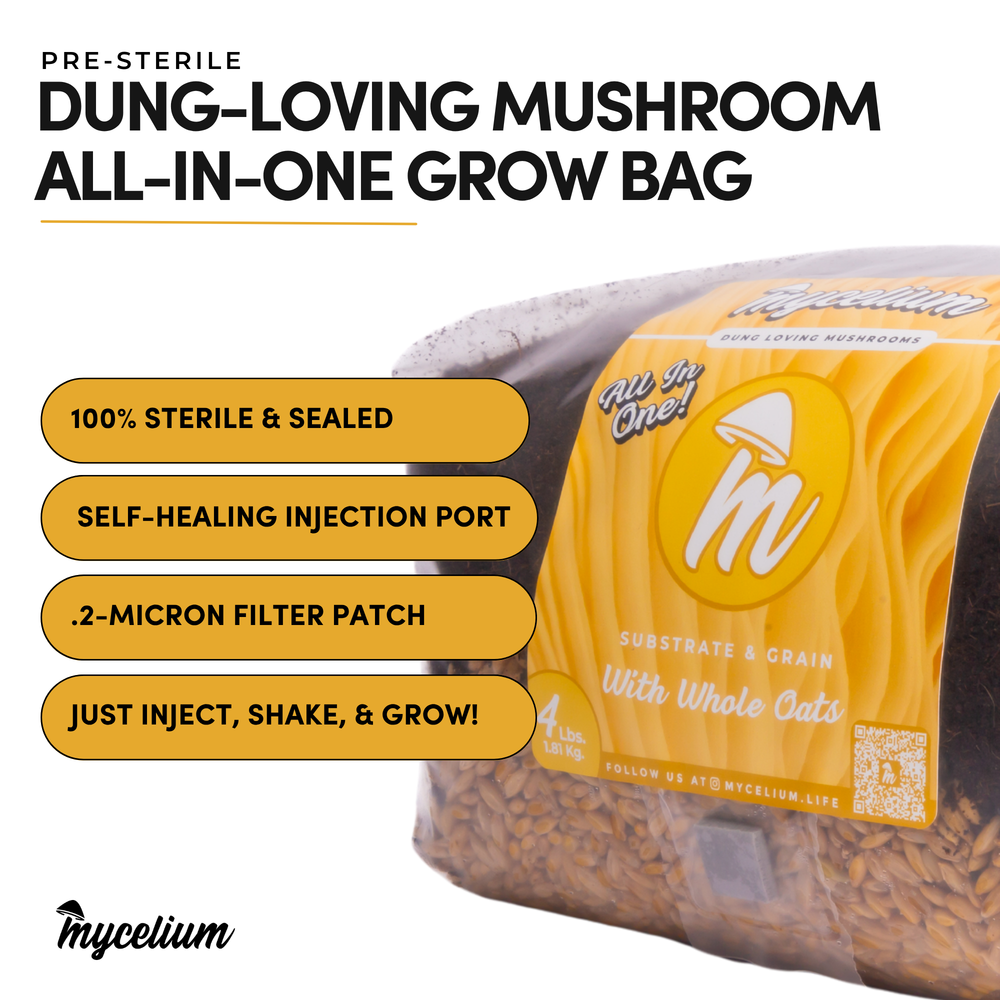 
                      
                        CVG Substrate & Whole Oats Grain All-In-One Bag
                      
                    