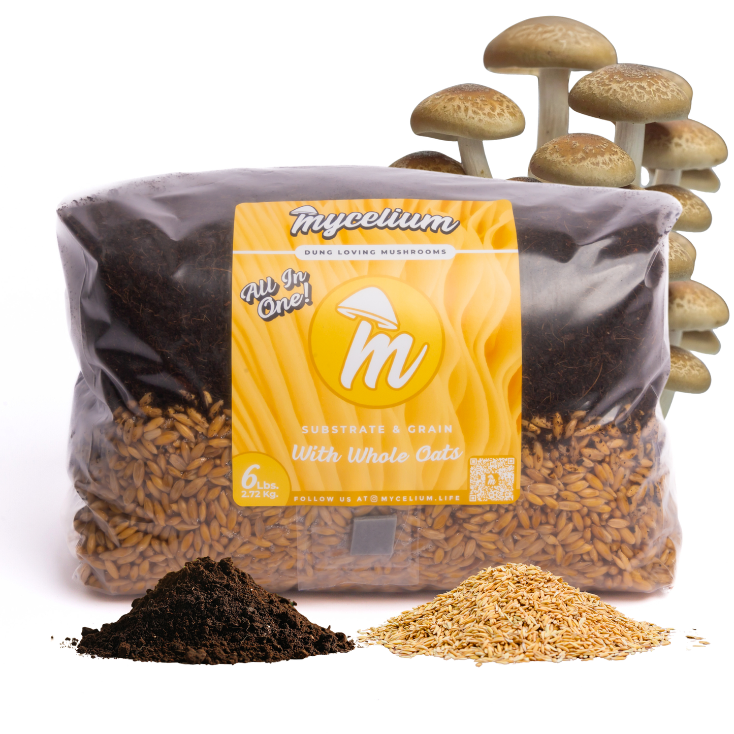 CVG Substrate & Whole Oats Grain All-In-One Bag