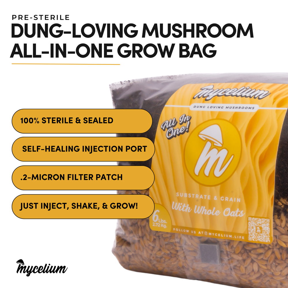 
                      
                        CVG Substrate & Whole Oats Grain All-In-One Bag
                      
                    