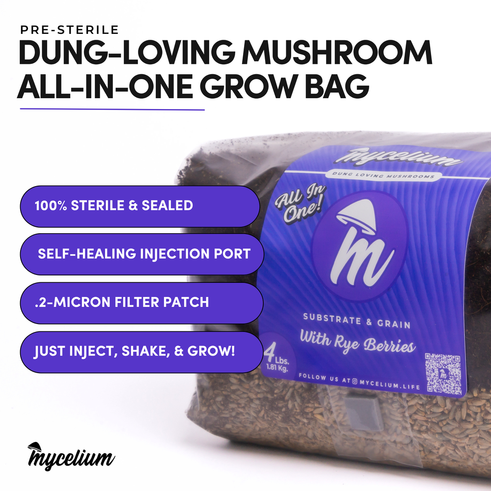 
                      
                        CVG Substrate & Rye Berries Grain All-In-One Bag
                      
                    
