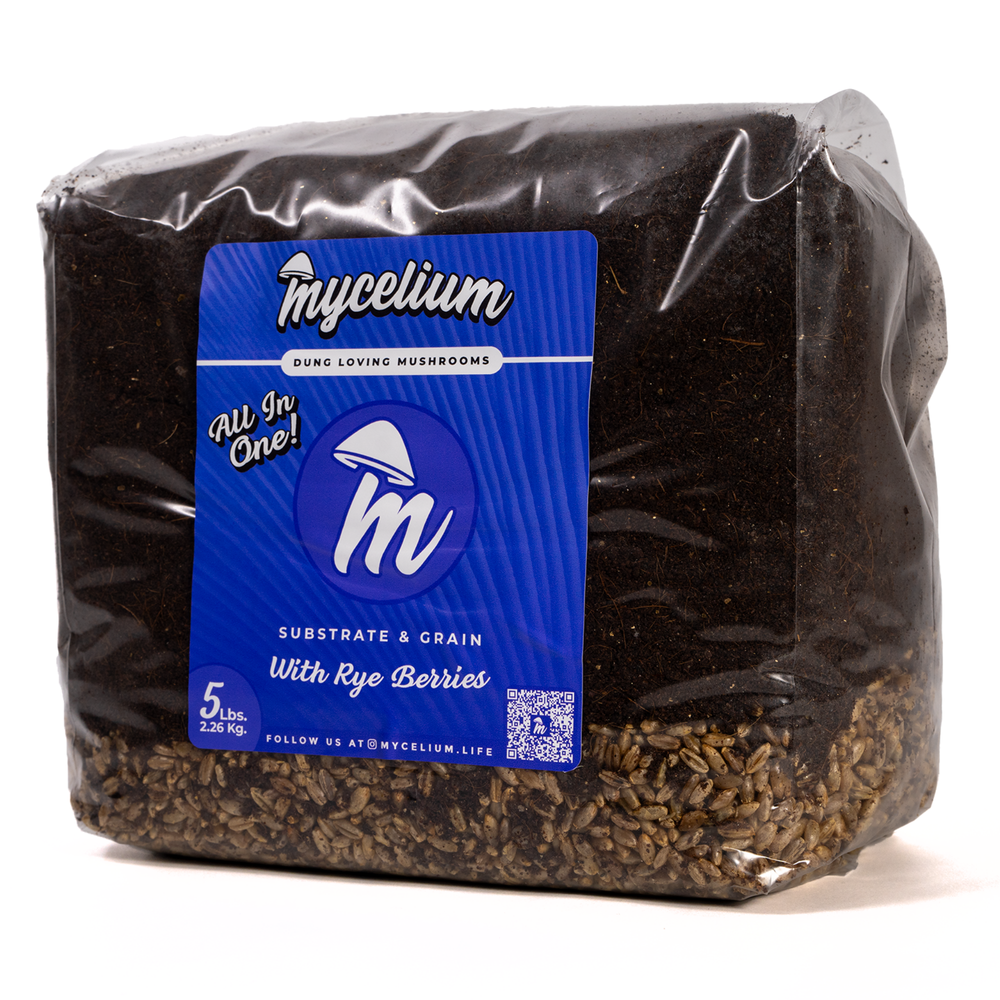 
                      
                        CVG Substrate & Rye Berries Grain All-In-One Bag
                      
                    