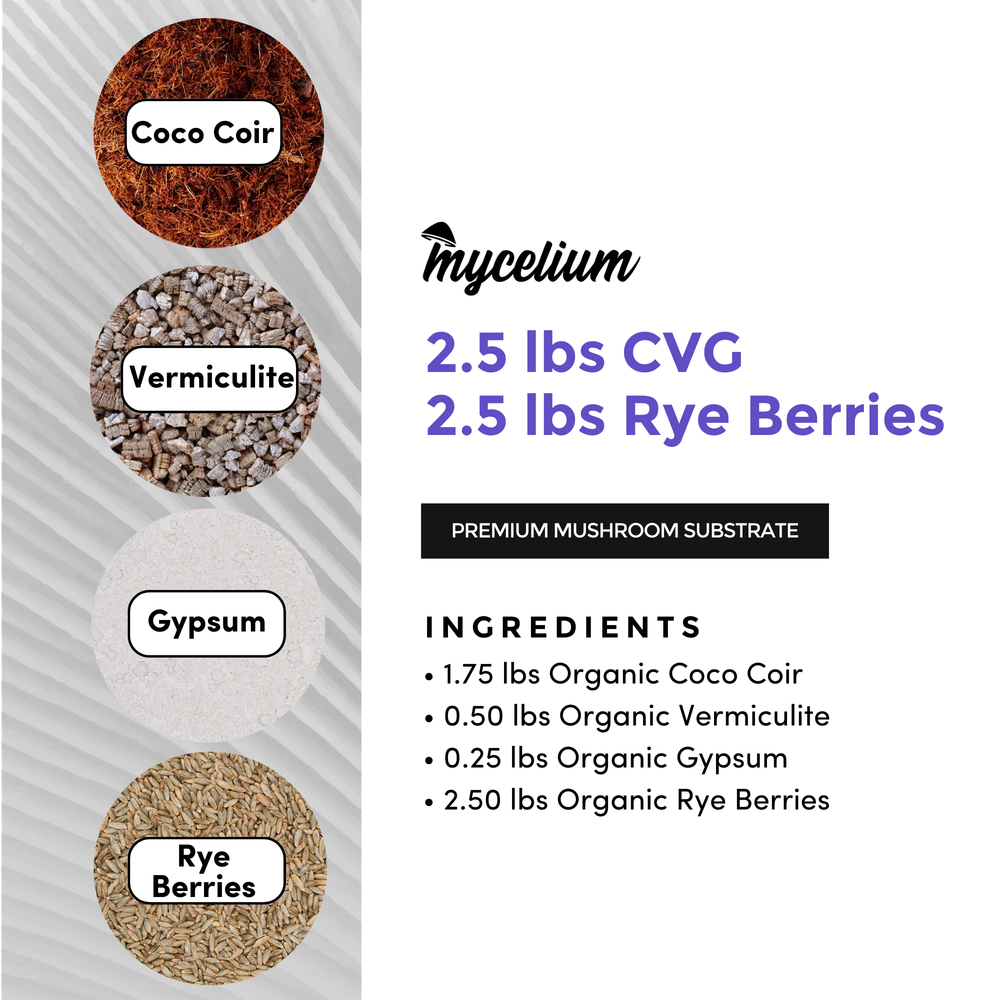 
                      
                        CVG Substrate & Rye Berries Grain All-In-One Bag
                      
                    