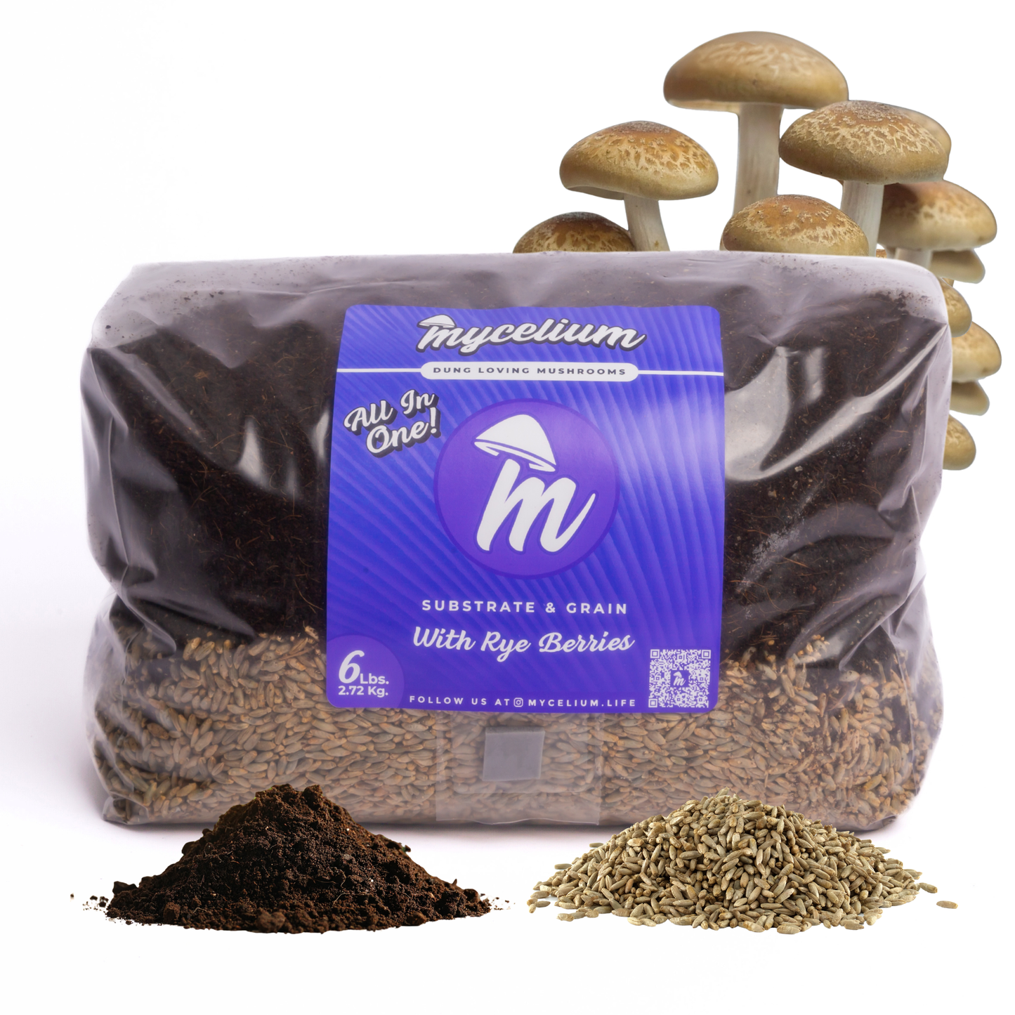 CVG Substrate & Rye Berries Grain All-In-One Bag