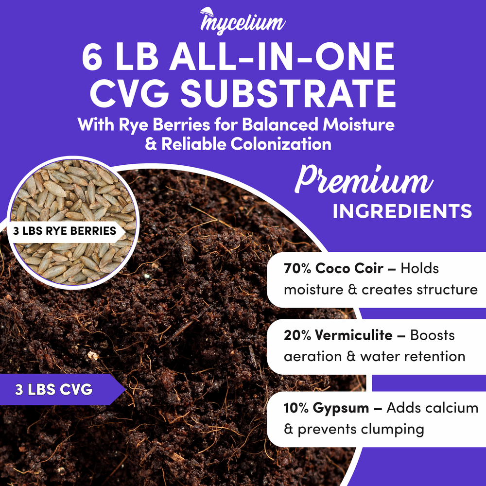 
                      
                        CVG Substrate & Rye Berries Grain All-In-One Bag
                      
                    