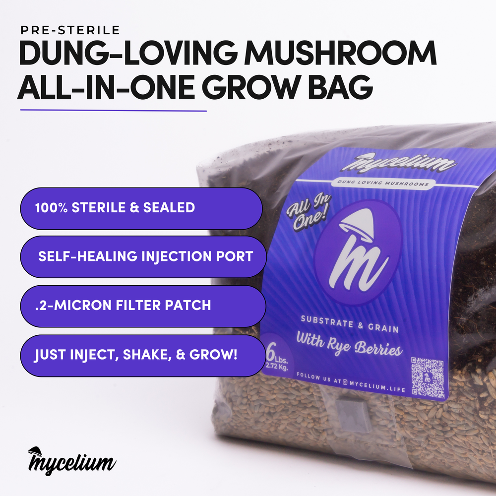 
                      
                        CVG Substrate & Rye Berries Grain All-In-One Bag
                      
                    