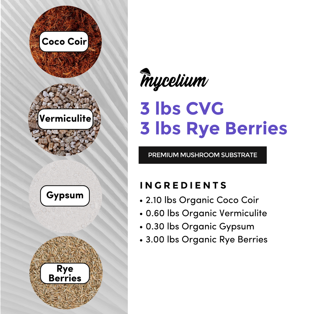 
                      
                        CVG Substrate & Rye Berries Grain All-In-One Bag
                      
                    