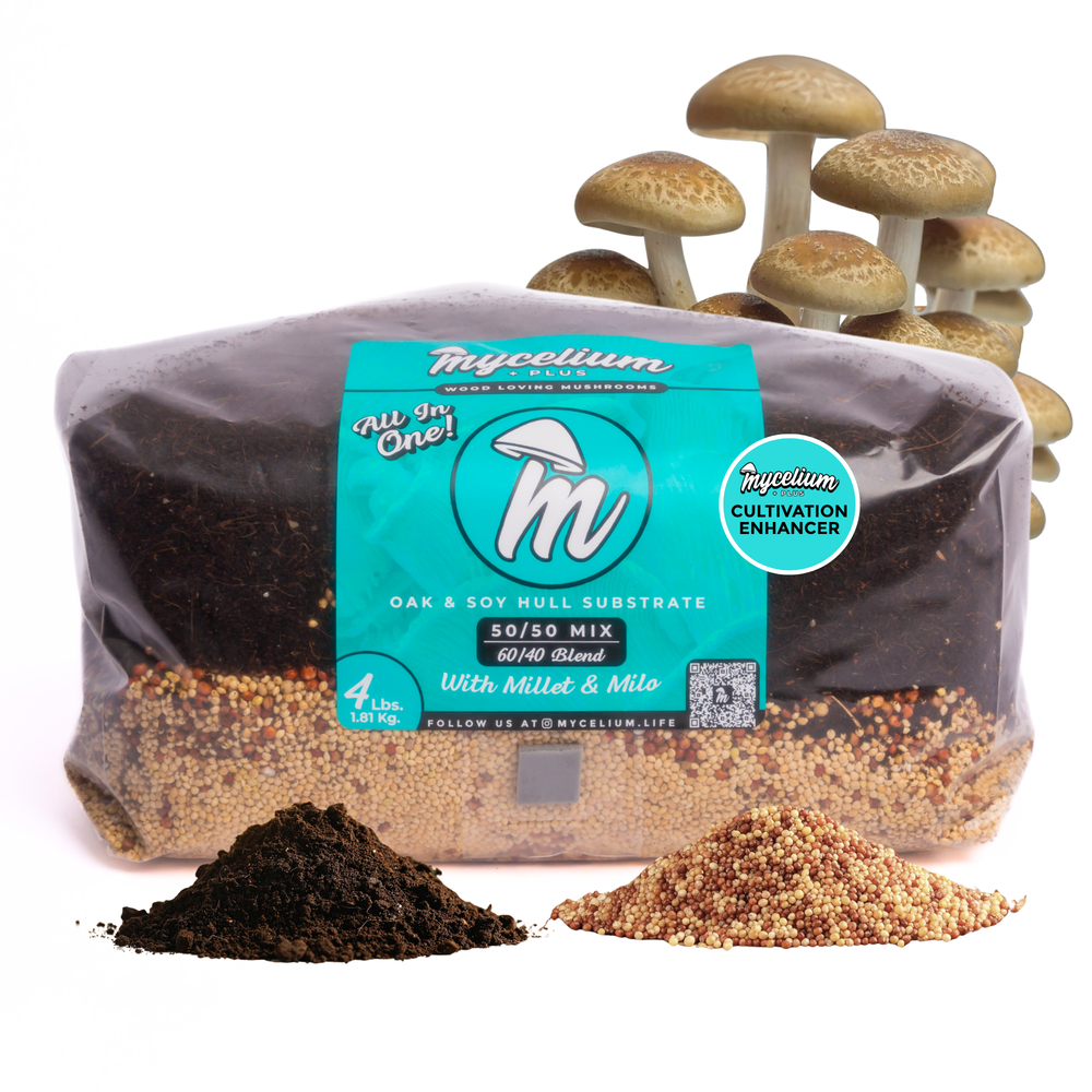 
                      
                        My+ CVG Substrate & Millet/Milo Grain All-In-One Bag
                      
                    