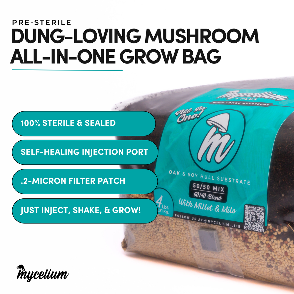 
                      
                        My+ CVG Substrate & Millet/Milo Grain All-In-One Bag
                      
                    