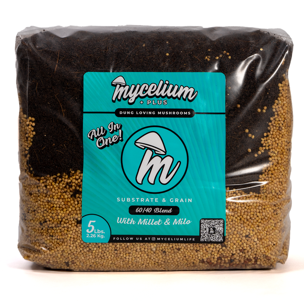 
                      
                        My+ CVG Substrate & Millet/Milo Grain All-In-One Bag
                      
                    