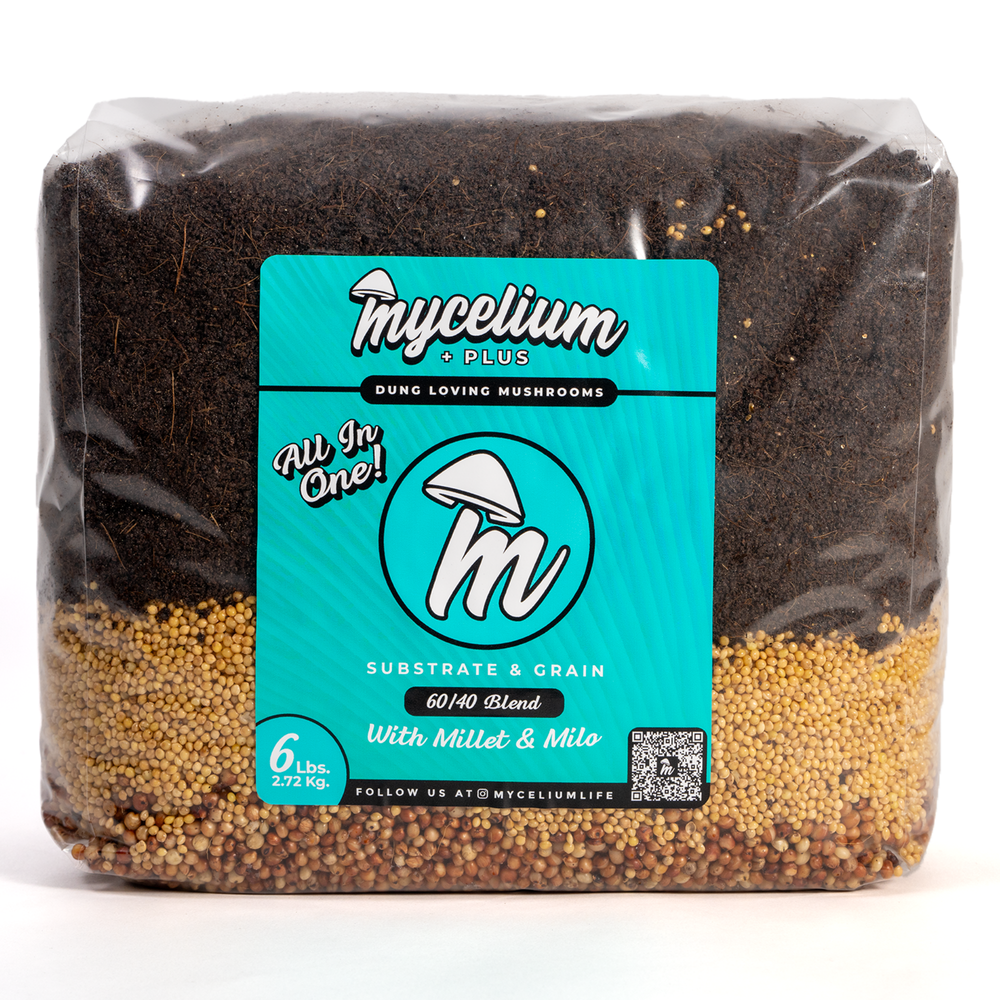 
                      
                        My+ CVG Substrate & Millet/Milo Grain All-In-One Bag
                      
                    