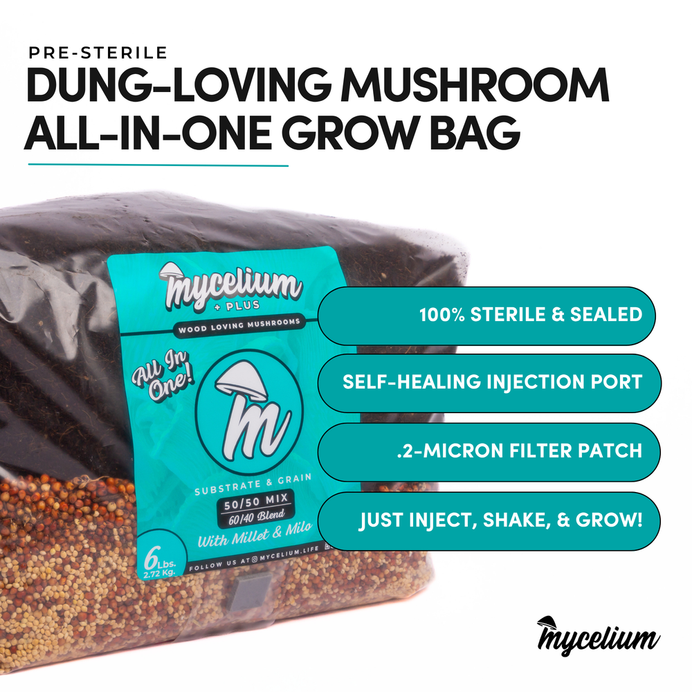 
                      
                        My+ CVG Substrate & Millet/Milo Grain All-In-One Bag
                      
                    