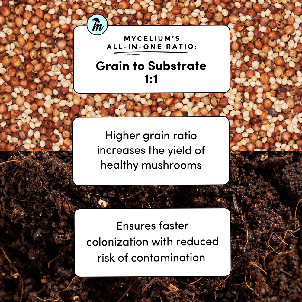 
                      
                        My+ CVG Substrate & Millet/Milo Grain All-In-One Bag
                      
                    