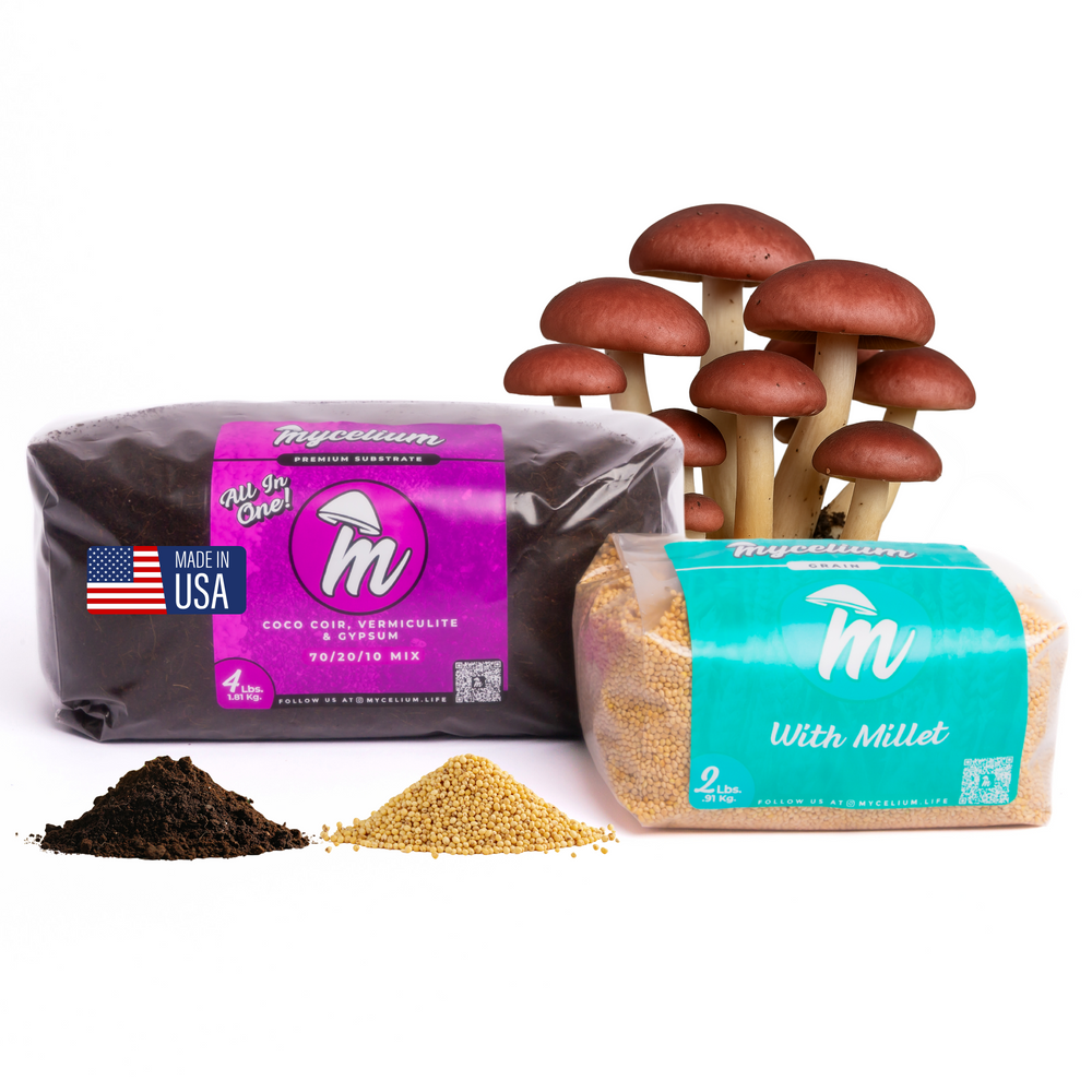 
                      
                        CVG Substrate & Millet Grain Bundle
                      
                    