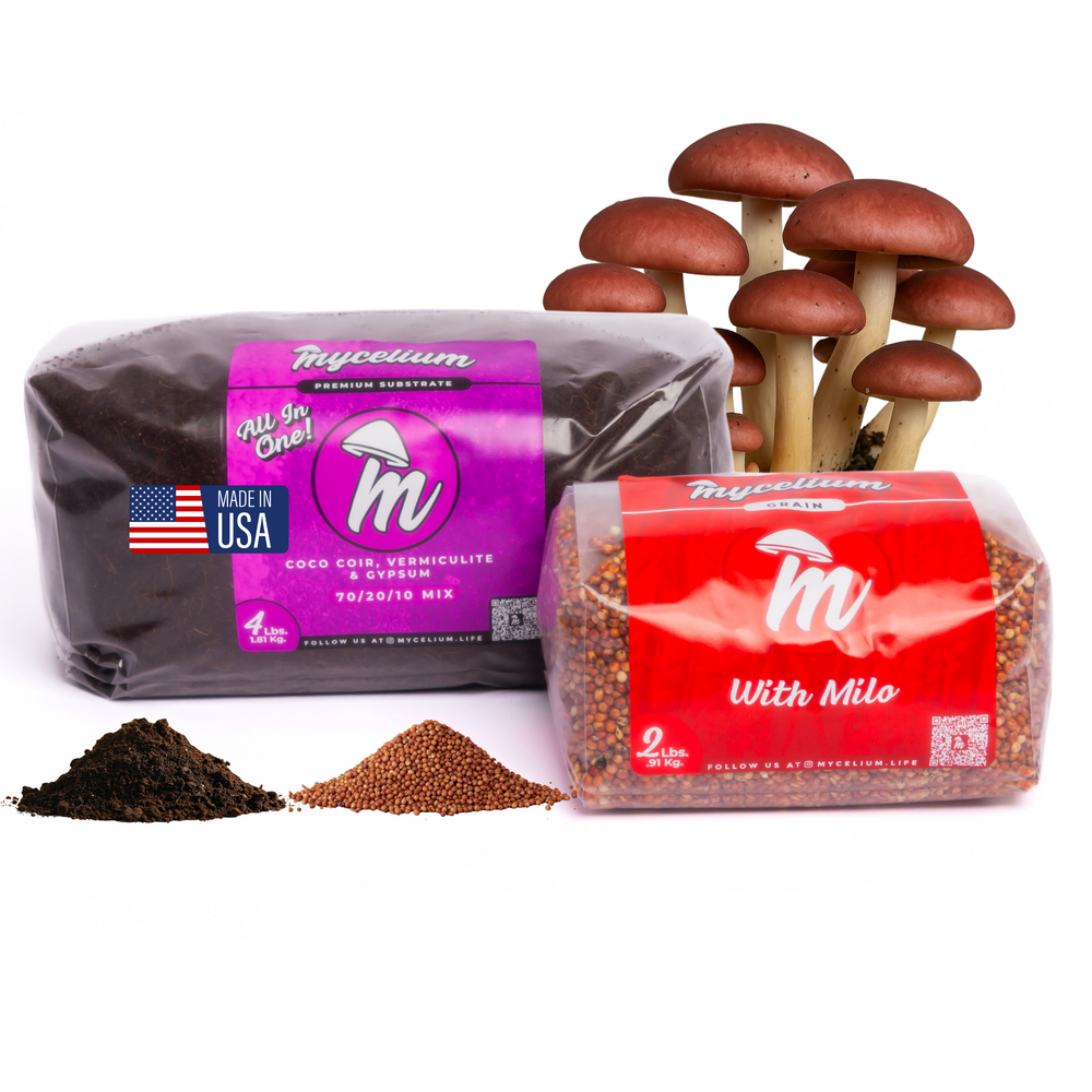 
                      
                        CVG Substrate & Milo Grain Bundle
                      
                    