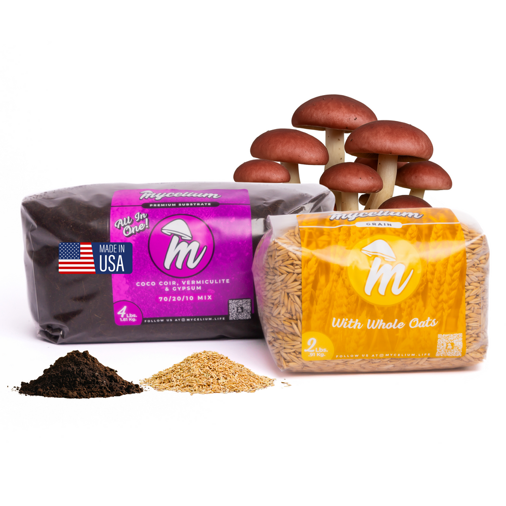 
                      
                        CVG Substrate & Whole Oats Grain Bundle
                      
                    