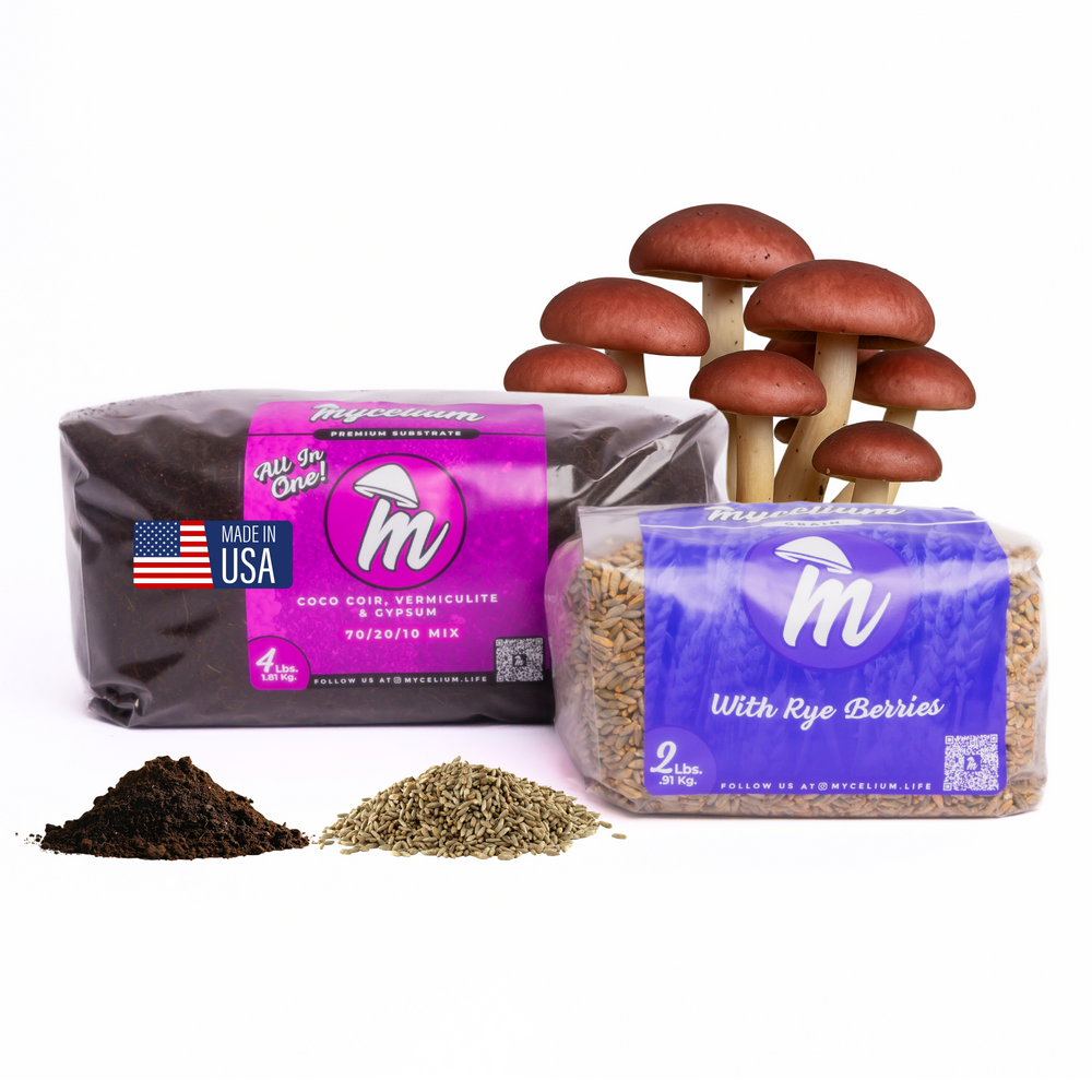 
                      
                        CVG Substrate & Rye Berries Grain Bundle
                      
                    