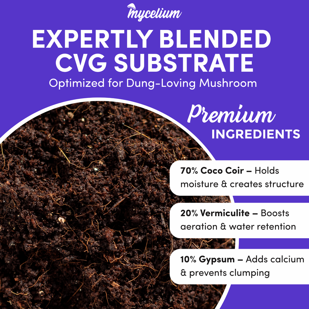
                      
                        CVG Substrate & Rye Berries Grain Bundle
                      
                    