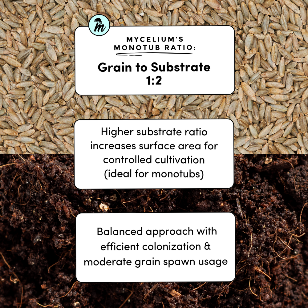 
                      
                        CVG Substrate & Rye Berries Grain Bundle
                      
                    