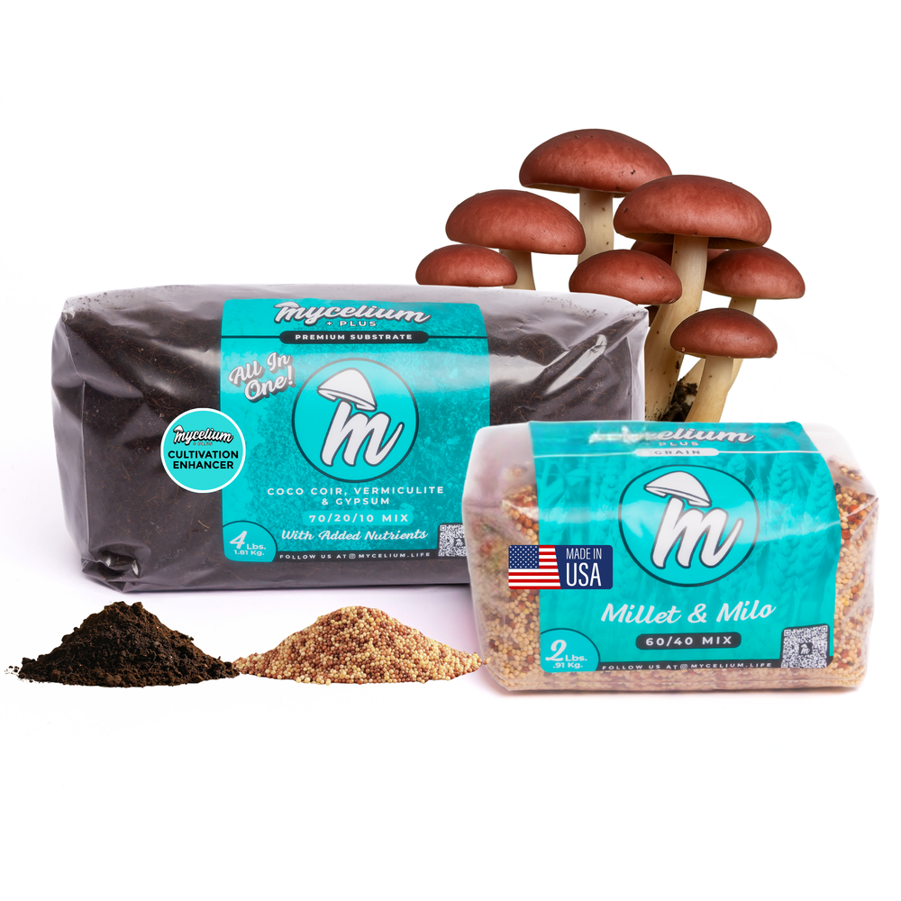 
                      
                        Mycelium+ CVG Substrate & Millet/Milo Grain Bundle
                      
                    