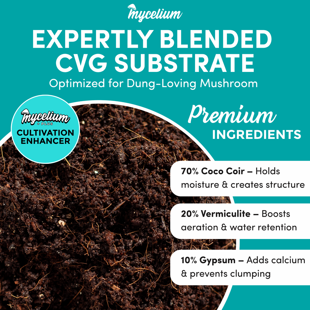 
                      
                        Mycelium+ CVG Substrate & Millet/Milo Grain Bundle
                      
                    