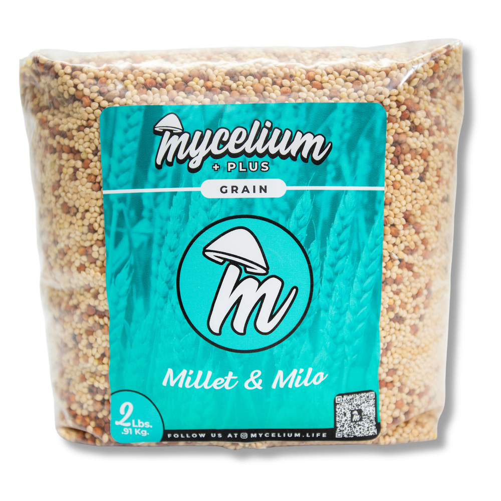 
                      
                        Mycelium+ CVG Substrate & Millet/Milo Grain Bundle
                      
                    