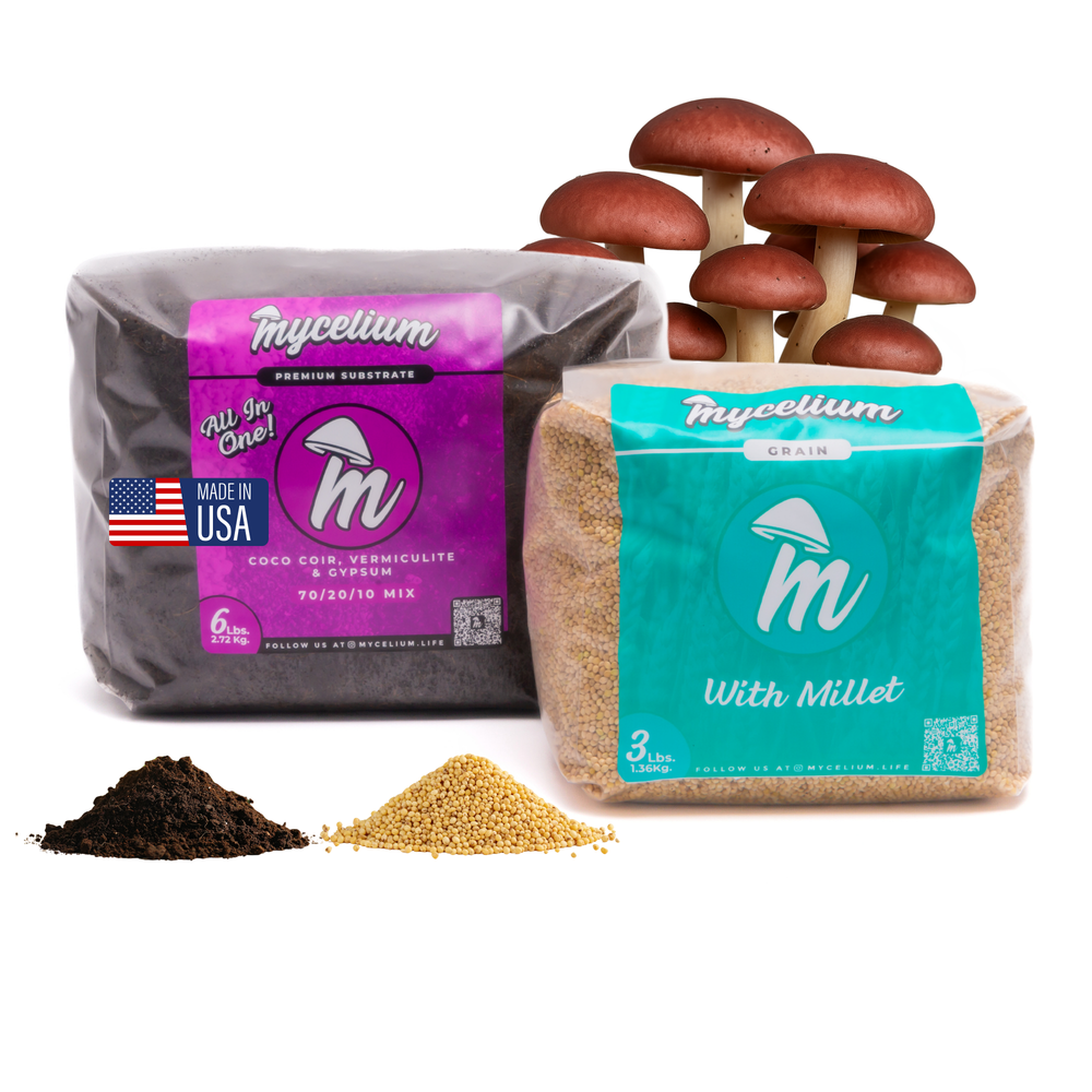 
                      
                        CVG Substrate & Millet Grain Bundle
                      
                    