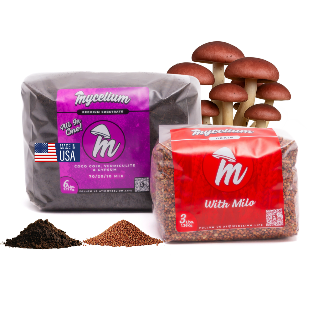 
                      
                        CVG Substrate & Milo Grain Bundle
                      
                    