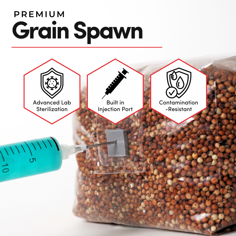 
                      
                        CVG Substrate & Milo Grain Bundle
                      
                    