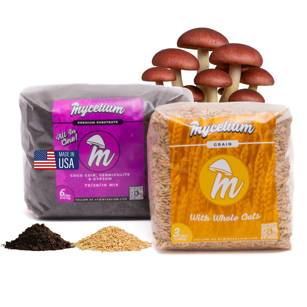 
                      
                        CVG Substrate & Whole Oats Grain Bundle
                      
                    