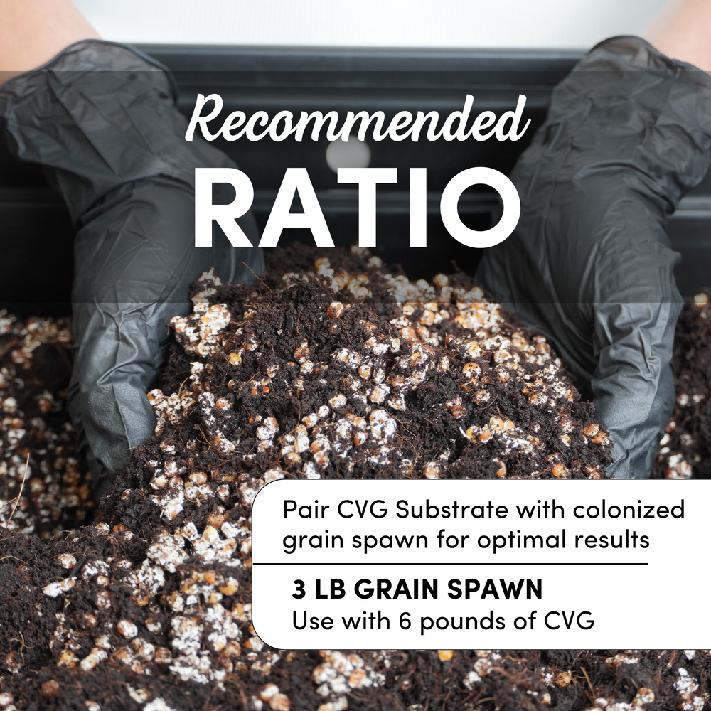 
                      
                        CVG Substrate & Whole Oats Grain Bundle
                      
                    