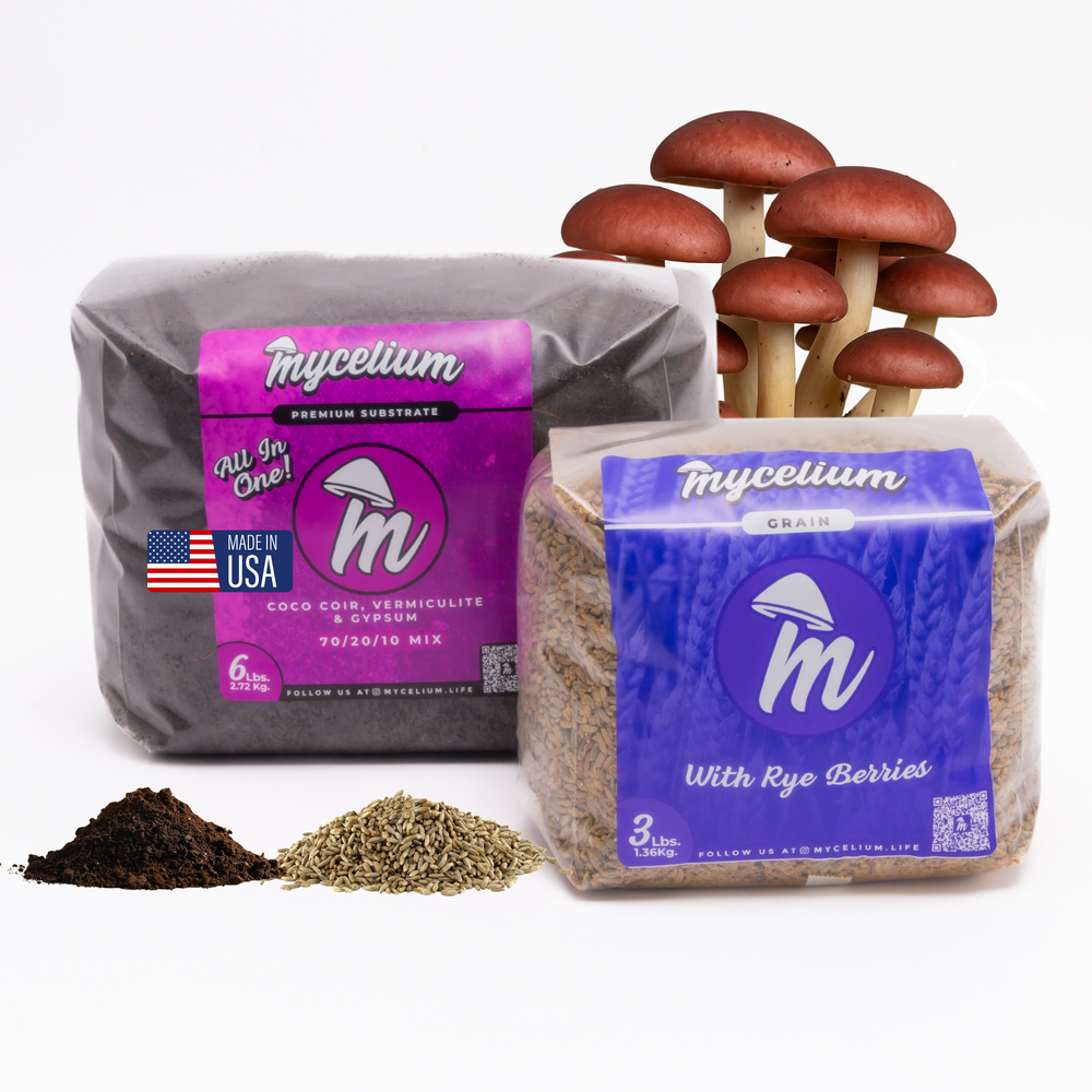 
                      
                        CVG Substrate & Rye Berries Grain Bundle
                      
                    