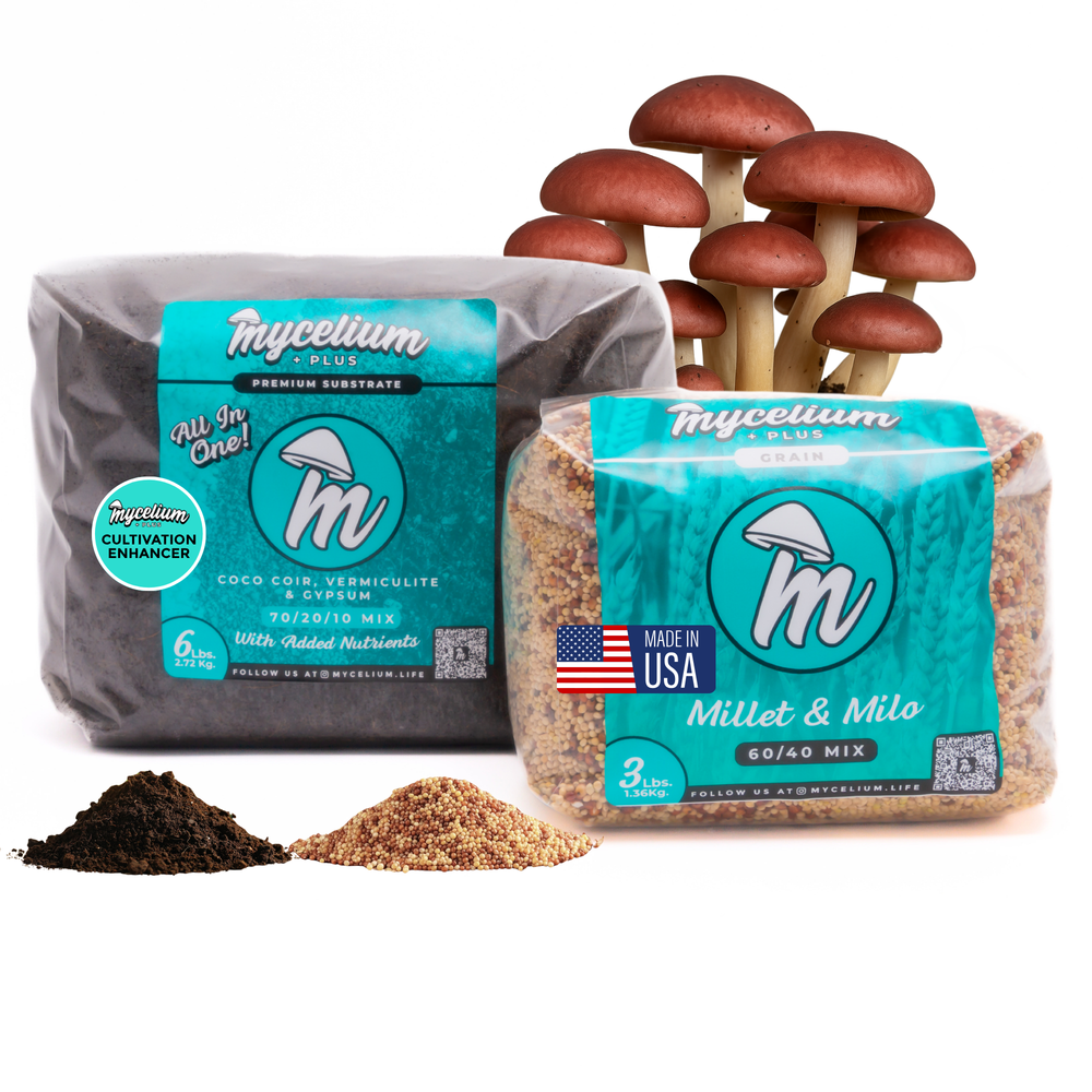 
                      
                        Mycelium+ CVG Substrate & Millet/Milo Grain Bundle
                      
                    