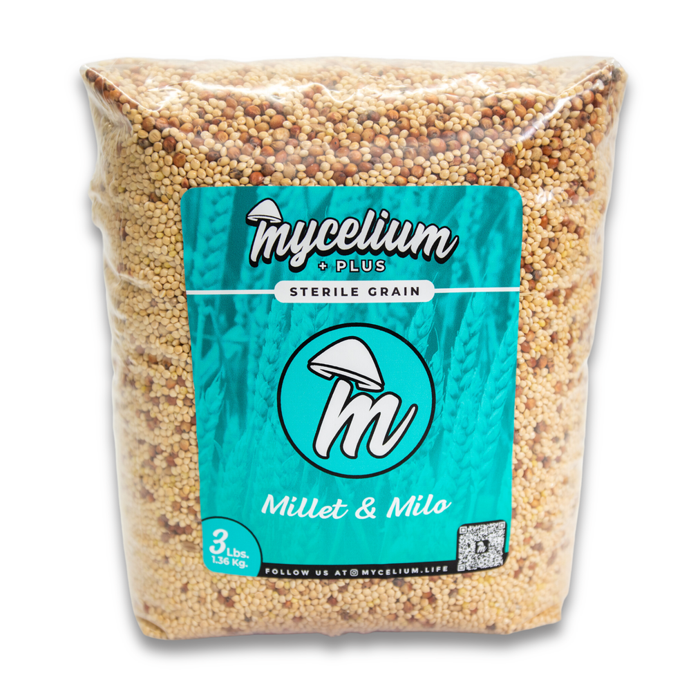 
                      
                        Mycelium+ CVG Substrate & Millet/Milo Grain Bundle
                      
                    