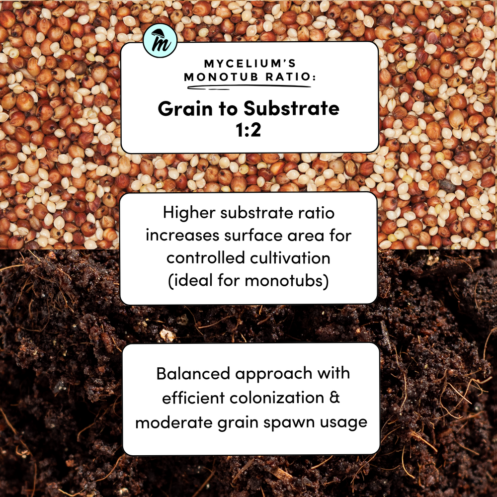 
                      
                        Mycelium+ CVG Substrate & Millet/Milo Grain Bundle
                      
                    