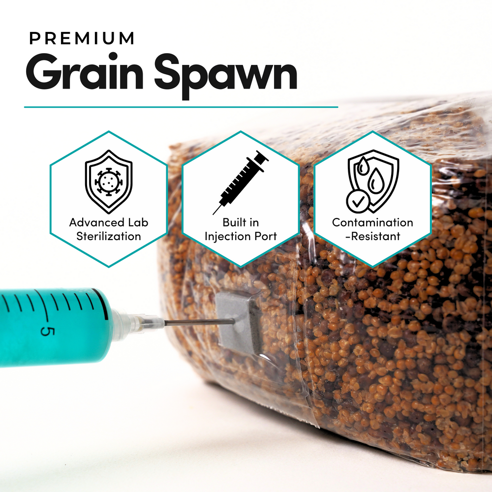 
                      
                        Mycelium+ CVG Substrate & Millet/Milo Grain Bundle
                      
                    