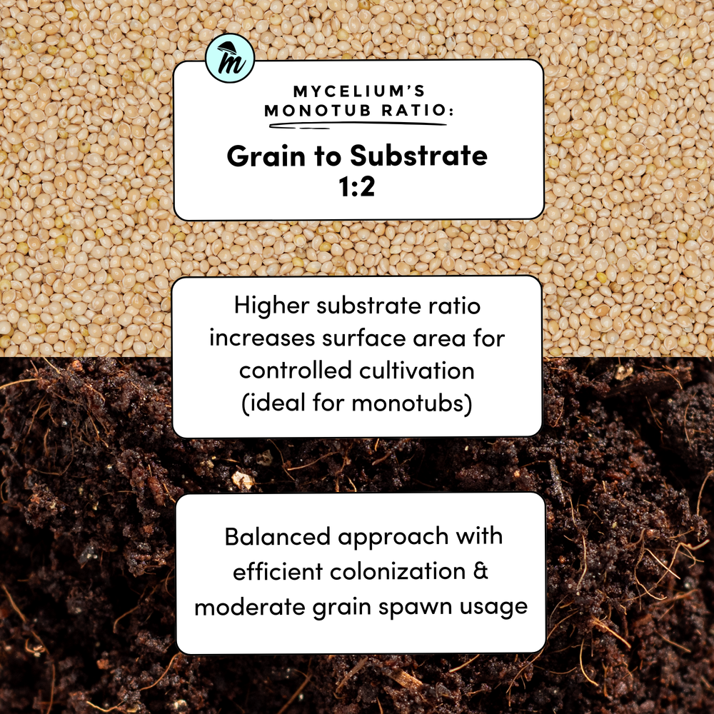 
                      
                        CVG Substrate & Millet Grain Bundle
                      
                    