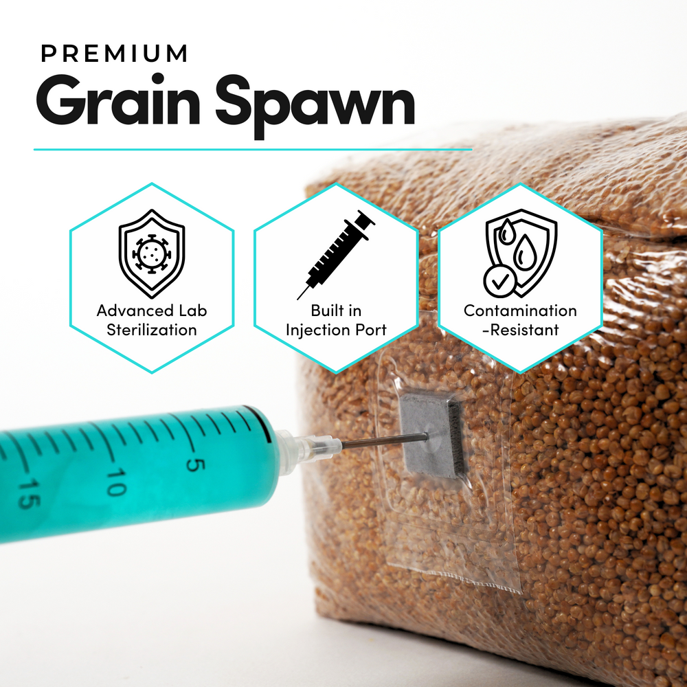 
                      
                        CVG Substrate & Millet Grain Bundle
                      
                    