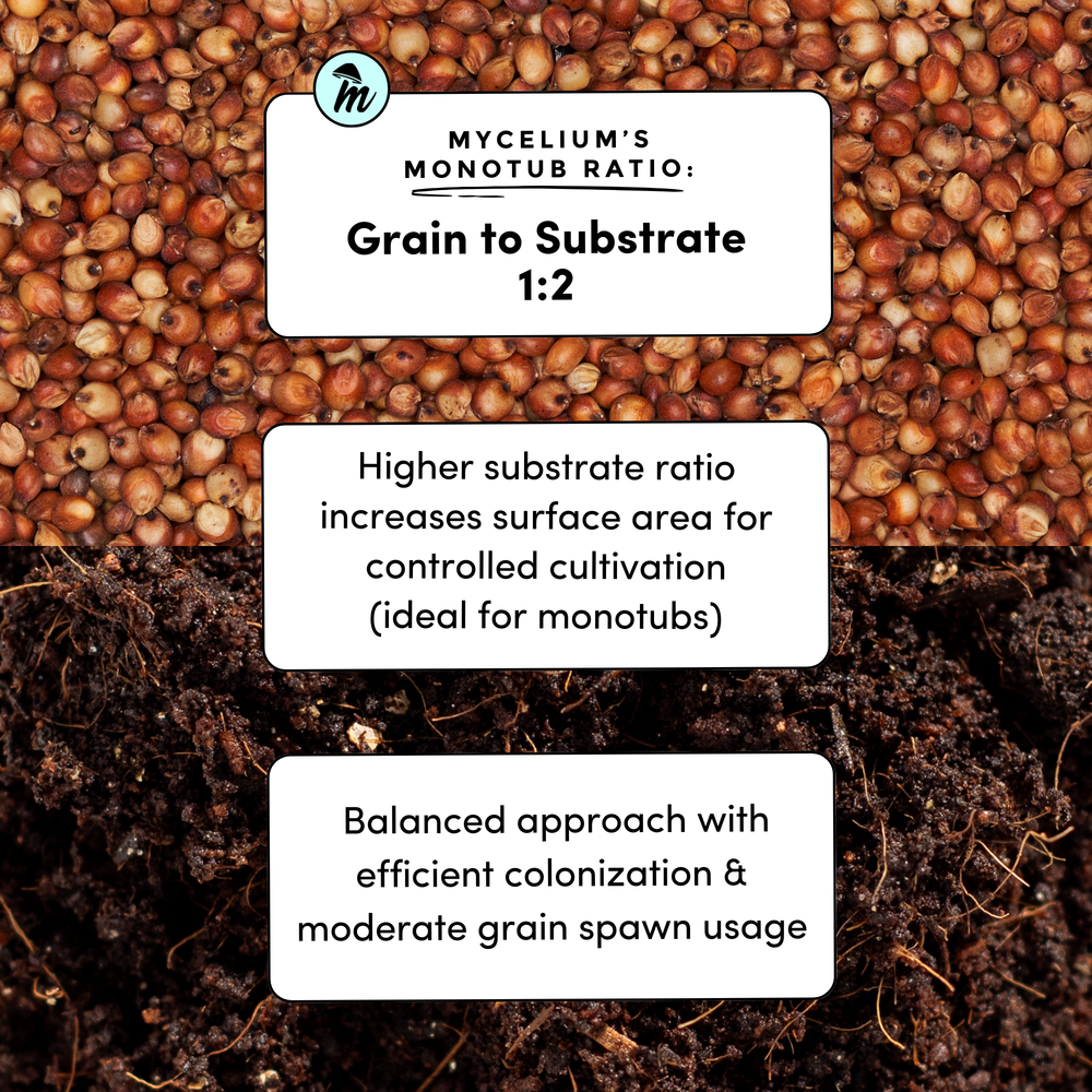 
                      
                        CVG Substrate & Milo Grain Bundle
                      
                    